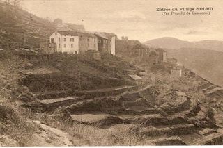 olmutandu