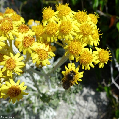 041-2012-06-19-00184