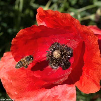 05-005-2018-06-06-00006