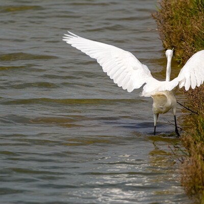 AG-2025-05-07-021-DPXD2