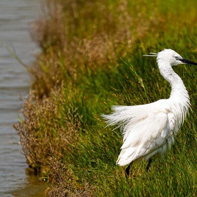 AG-2025-05-07-024-DPXD2