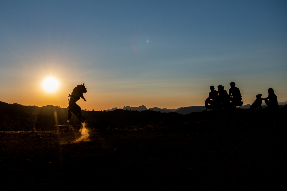 Le soir sur le plateau du Cuscionu, le coucher de soleil est inévitable.